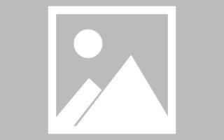 桐乡网页设计英文默认字体（网页设置英文转换中文）